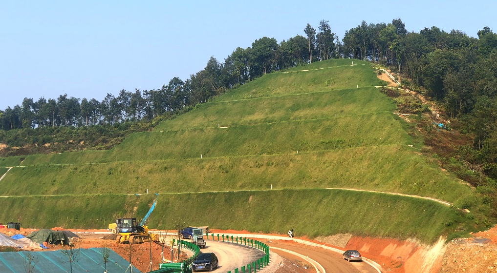 宜昌长江公路大桥新建猇亭服务区路堑边坡绿化防护优化工程顺利完工！