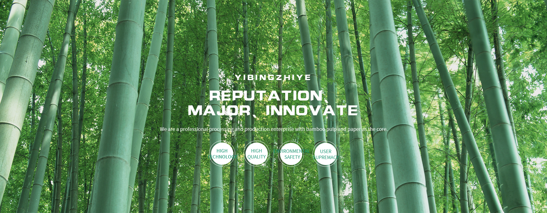 Yibin Paper Co., Ltd.