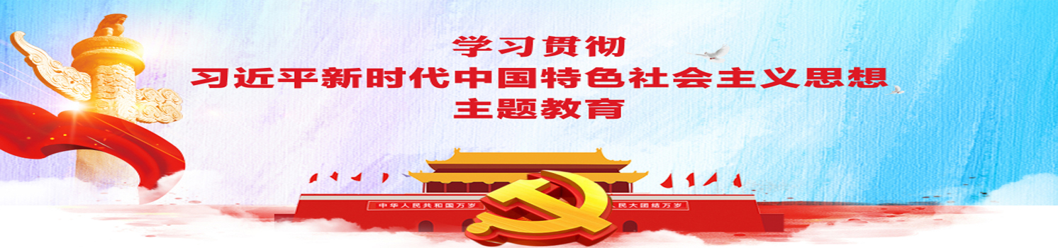學習貫徹習近平新時代中國特色社會主義思想主題教育