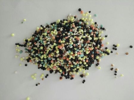 小麥施用微生物菌肥的效果