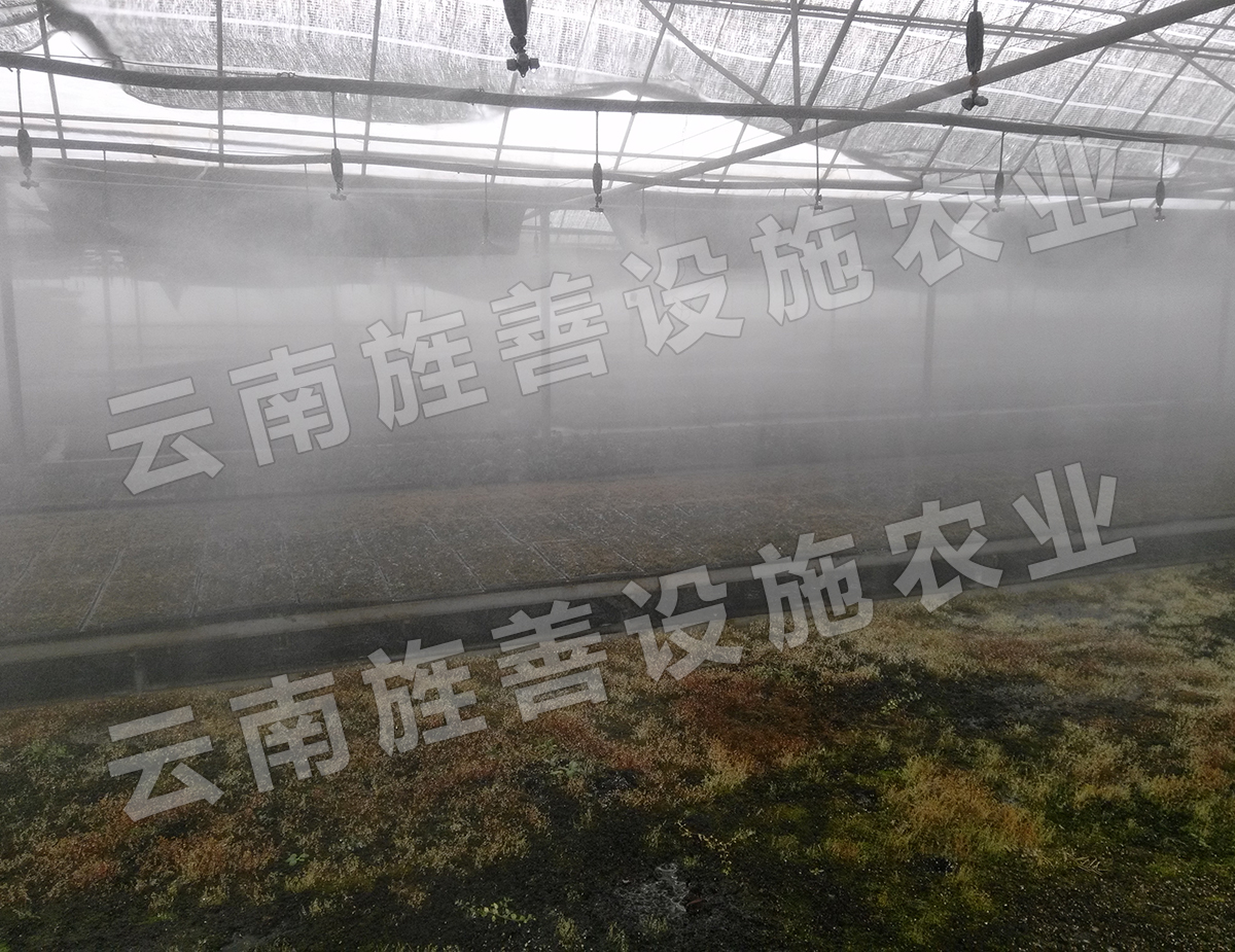 噴霧加濕育苗大棚