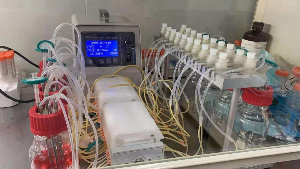 北大口腔醫院  定制24通道牙本質片測試系統