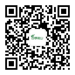 微信公眾號(hào)