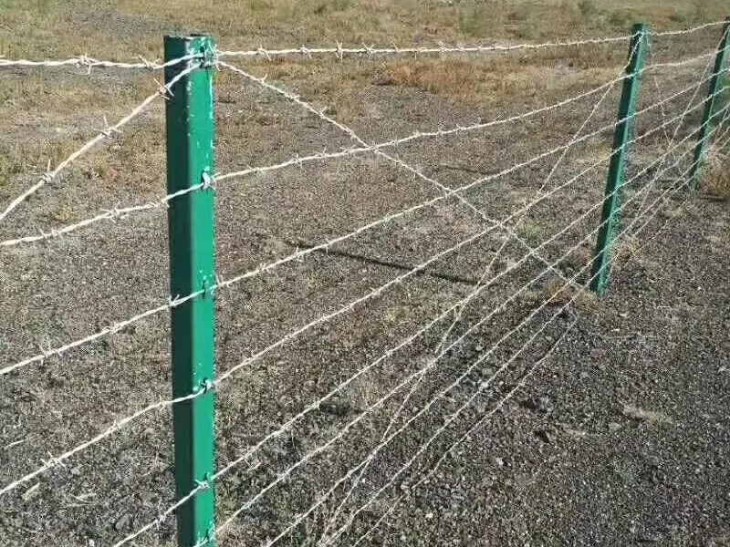 刺繩護欄網