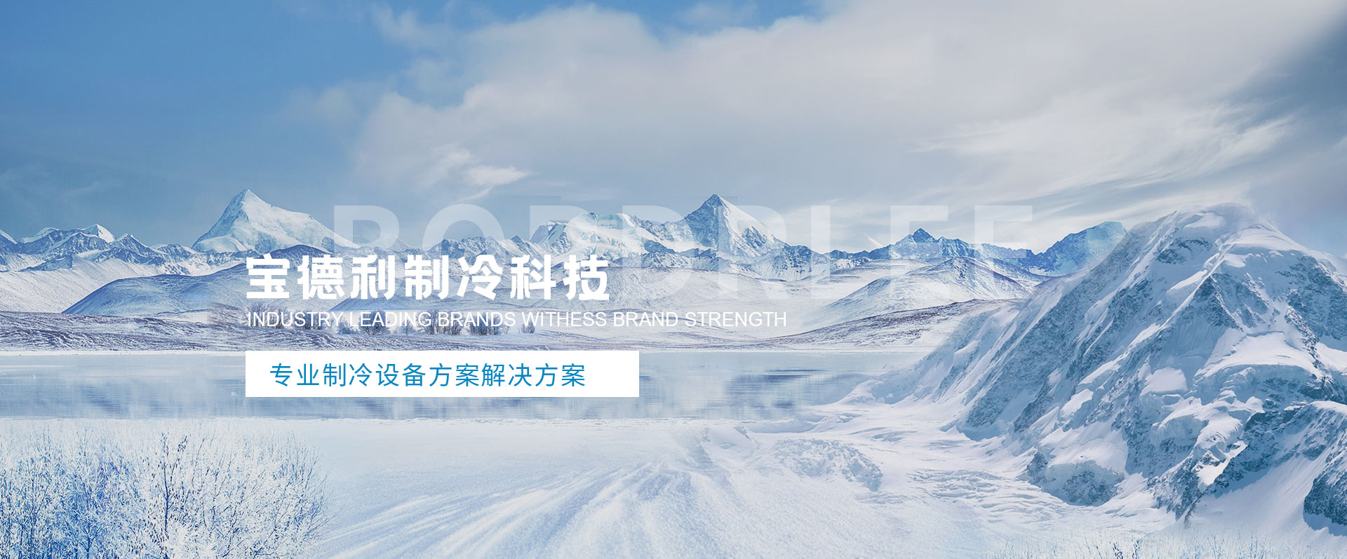 寶德利廠家直銷速凍柜、冷藏庫、速凍庫、蒸發式冷凝器、冷凍機組、冷風機、冷卻塔、冷凝器等產品 