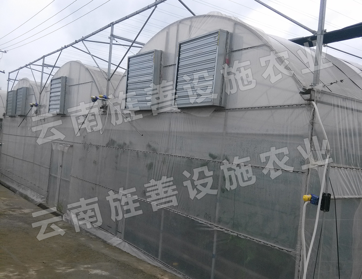 連棟大棚