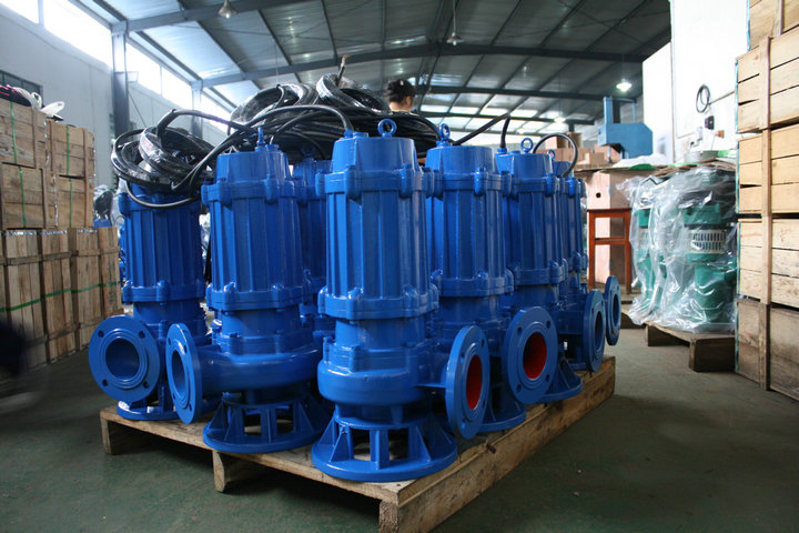 WQ submersible pump for Singapore clients