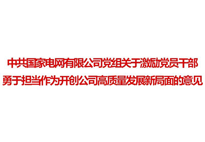 國(guó)家電網(wǎng)公司黨組2019年1號(hào)文件
