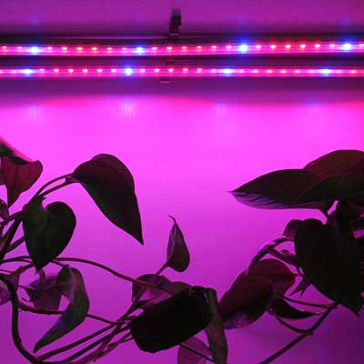 植物生長燈LED
