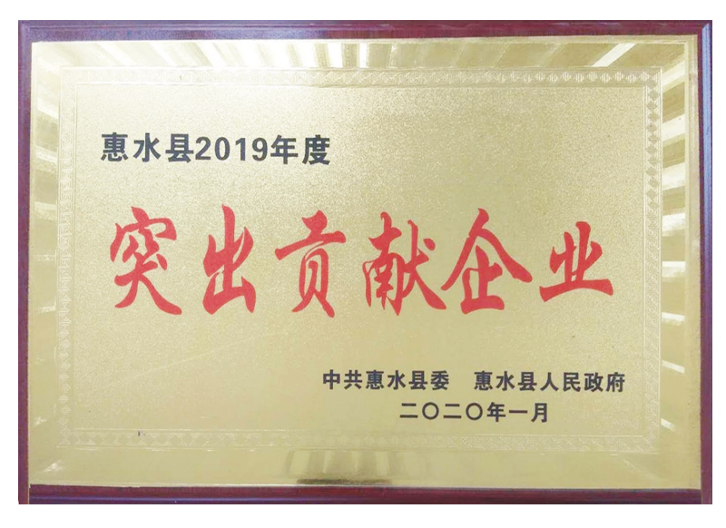 惠水县2019年度突出贡献企业