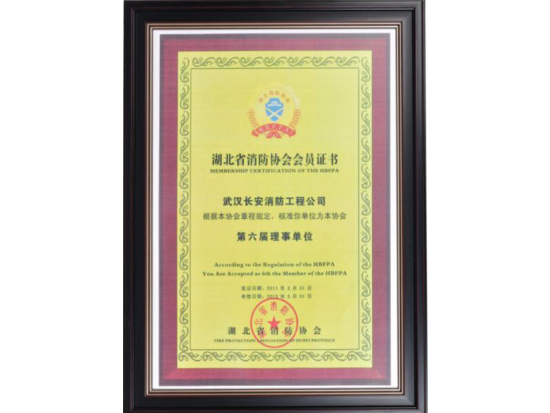 湖北省消防協會會員證書