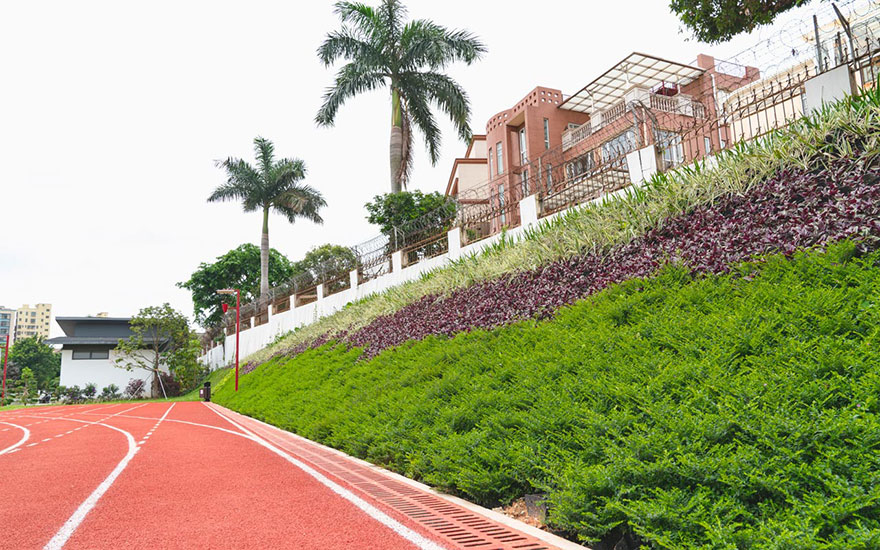 廣東省深圳市寶安白石廈街心公園 廣東省深圳市寶安白石廈街心公園