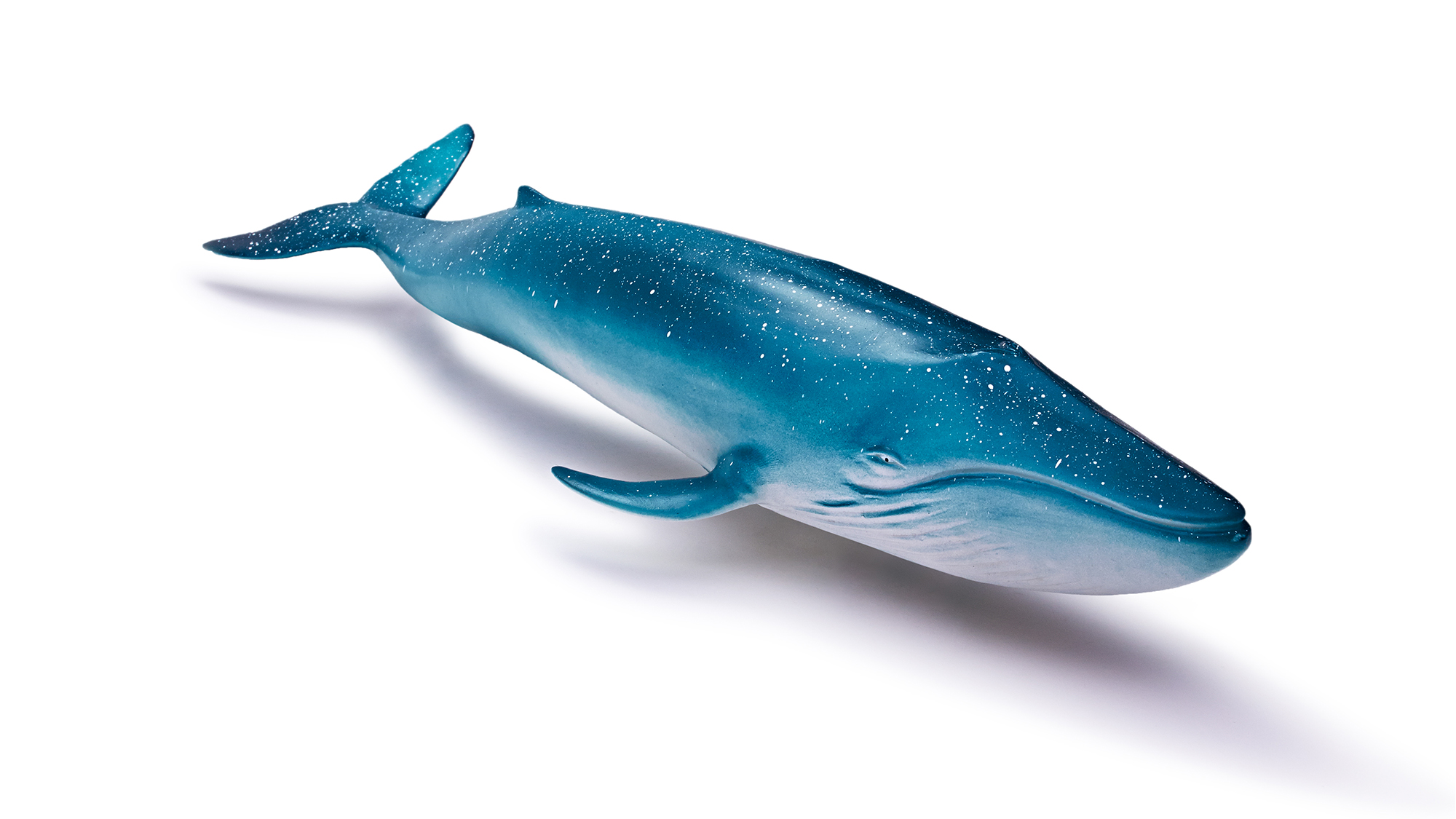 Marine Animal Model Toy - Blue Whale Toy｜Balaenoptera musculus