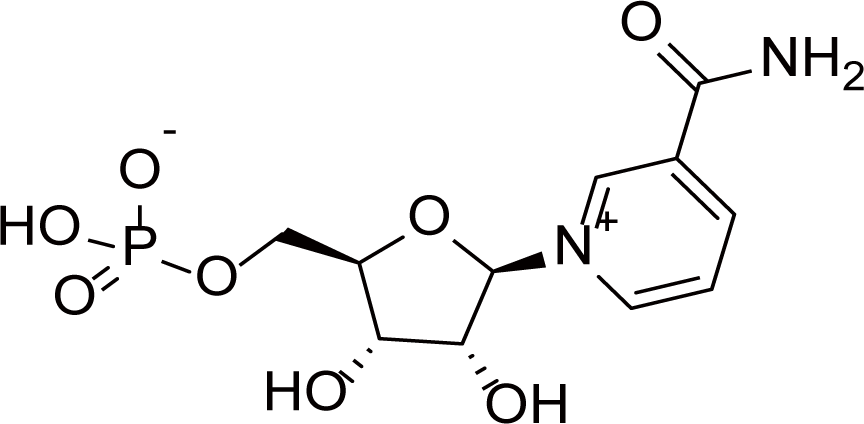 β-煙酰胺單核苷酸
