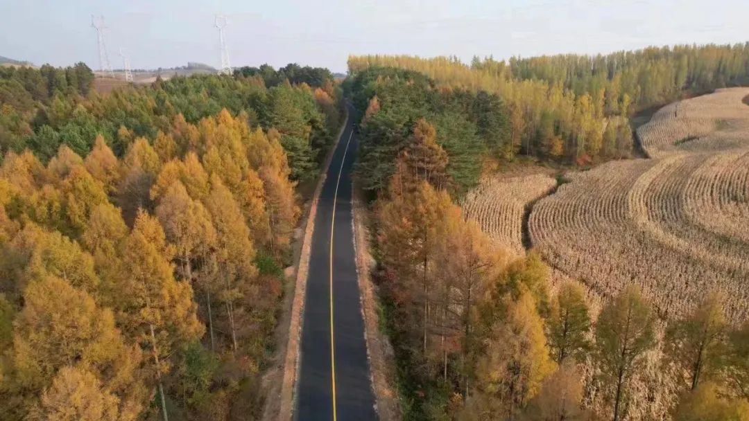  黑龍江省普通國省干線公路質量提升專項工程（西部地區）A1標段十一工區順利通過交工驗收