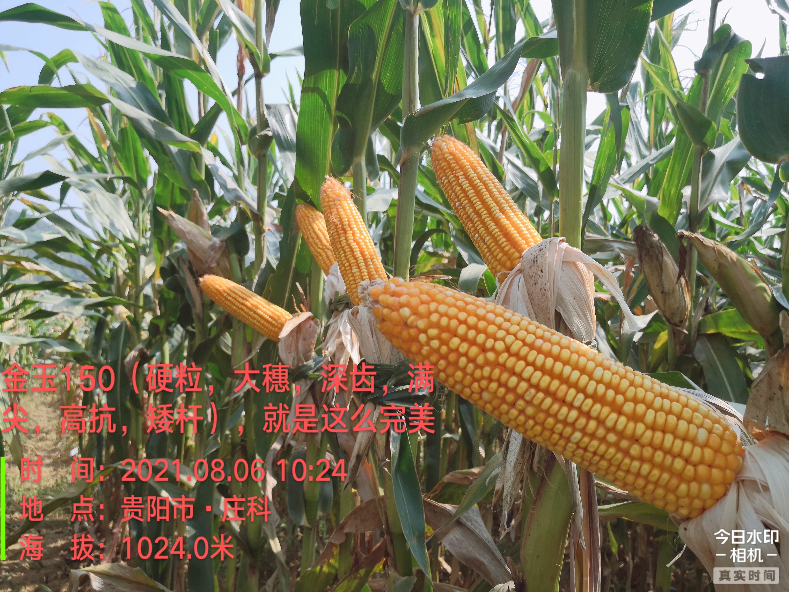 微信圖片_20211222101642
