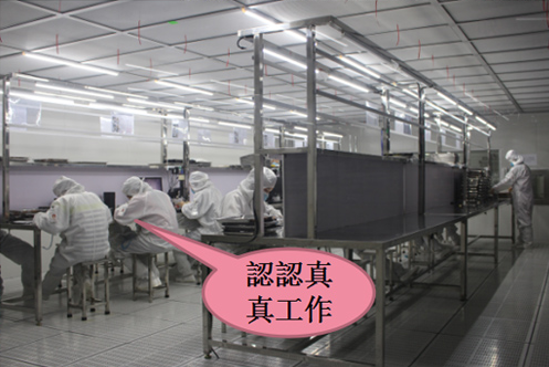 公司剪影 公司剪影