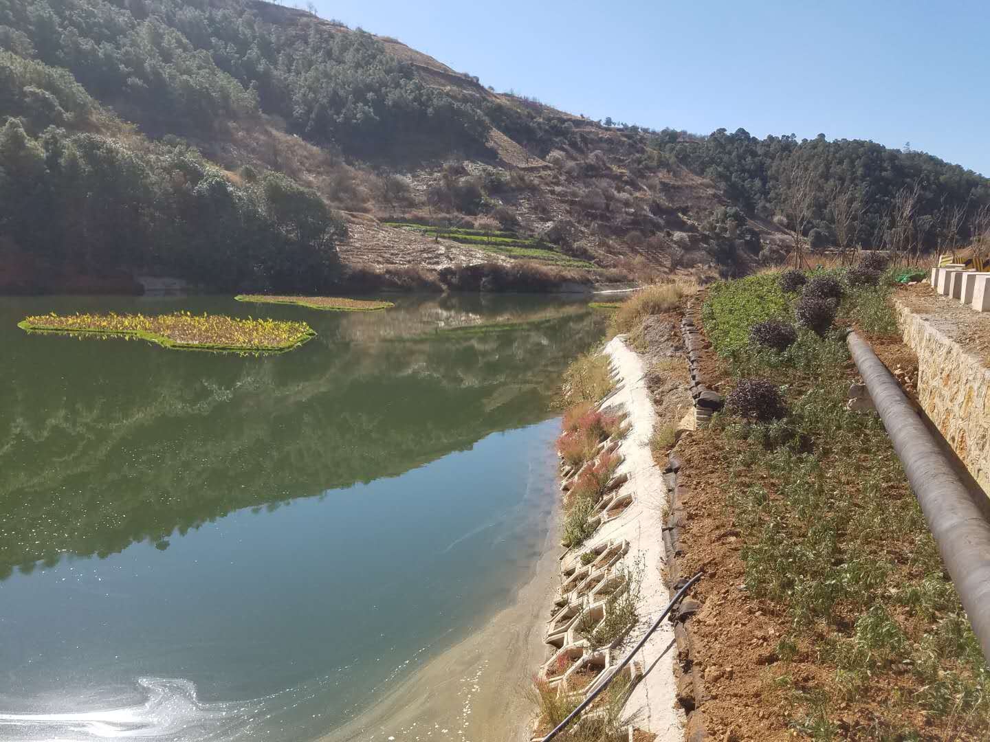 水生態修復 水生態修復