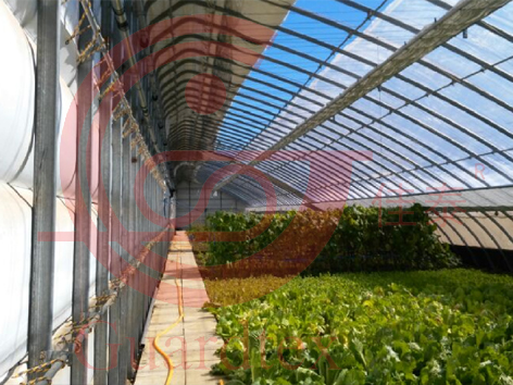 農(nóng)業(yè)種植日光溫室系列