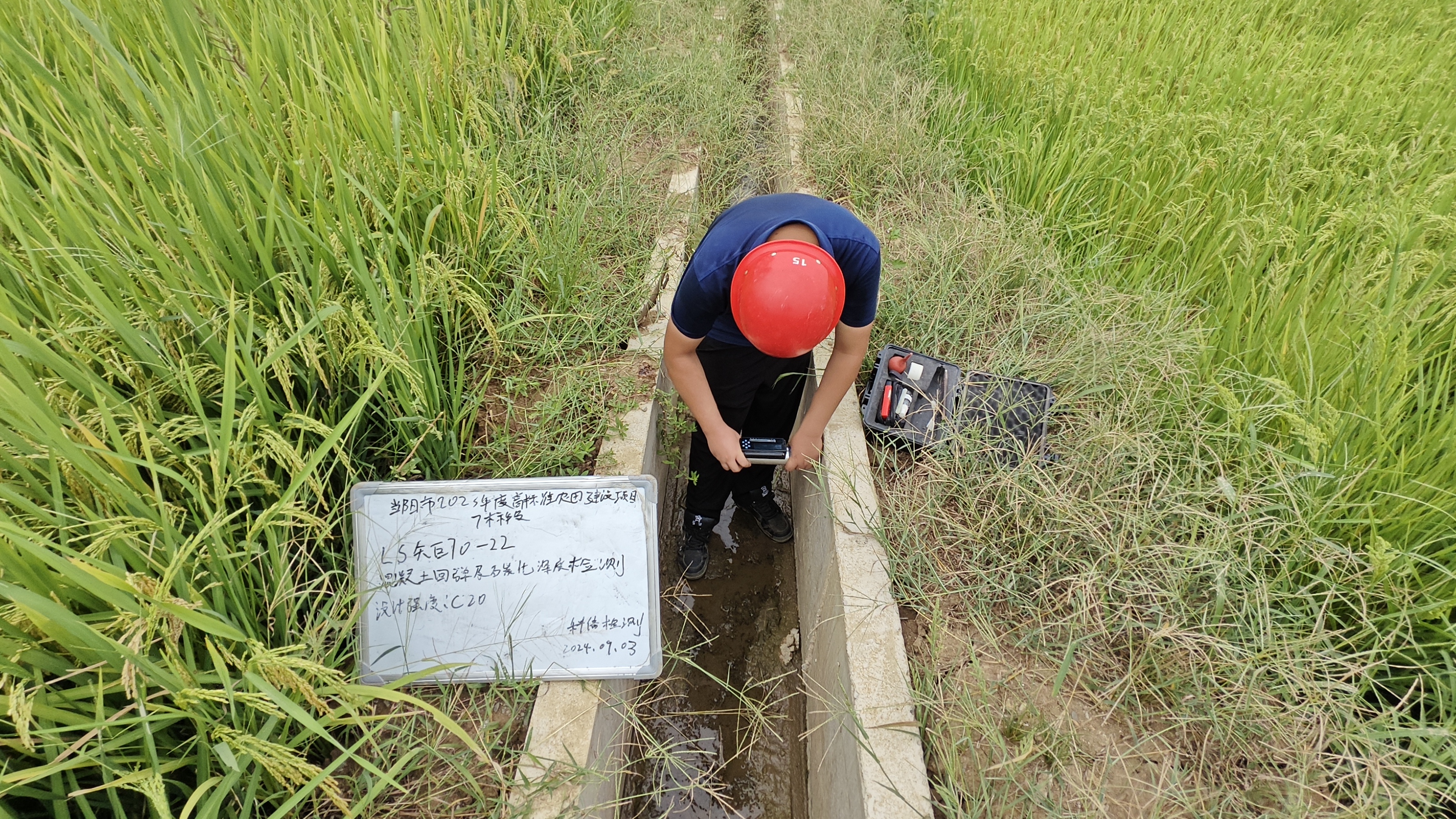 當陽市高標準農田建設項目