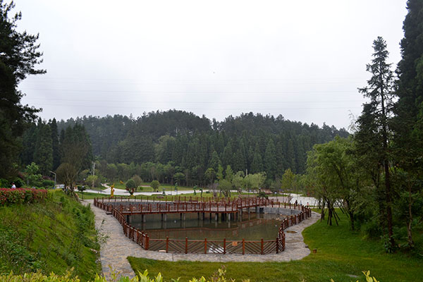 _DSC0243
