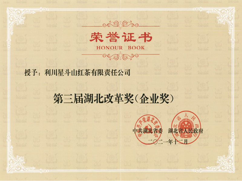 第三屆湖北改革將（企業獎）