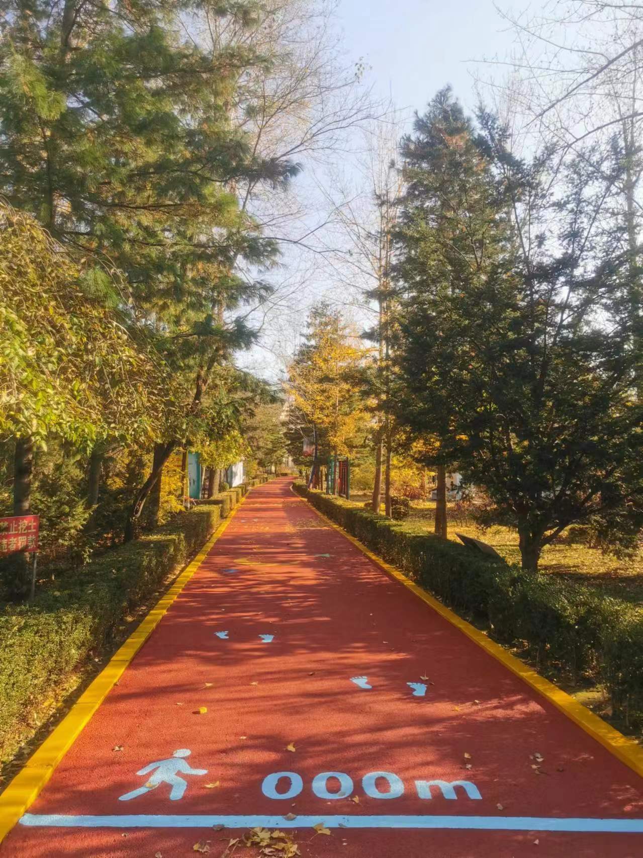 公園路面改色彩色路面