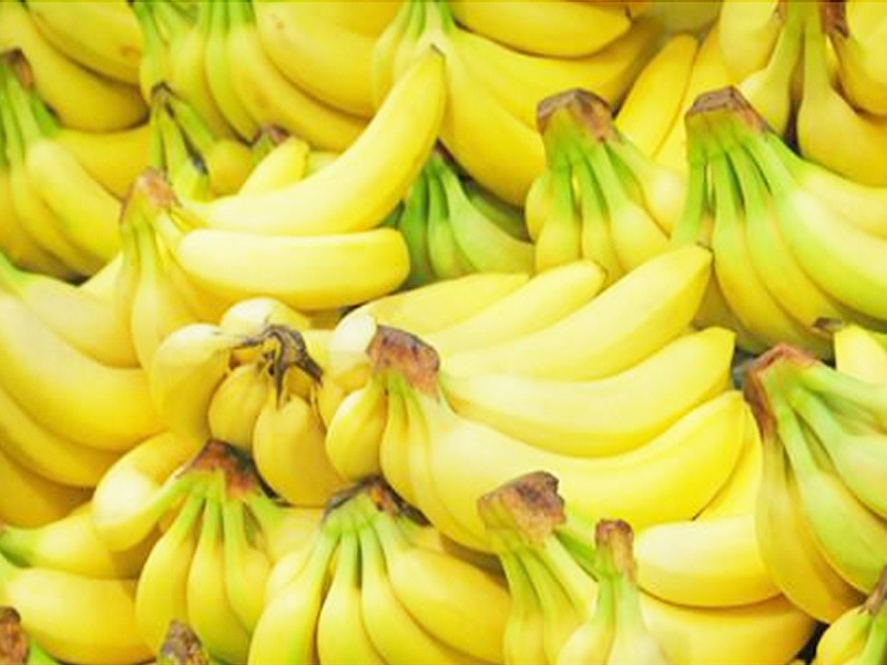 冬季香蕉施肥要點，高產香蕉的好方法