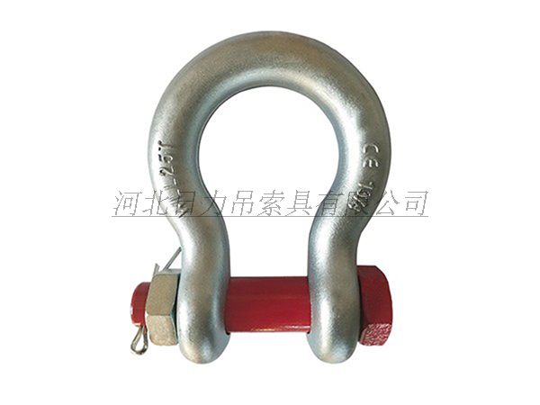 1-2102010R1002613