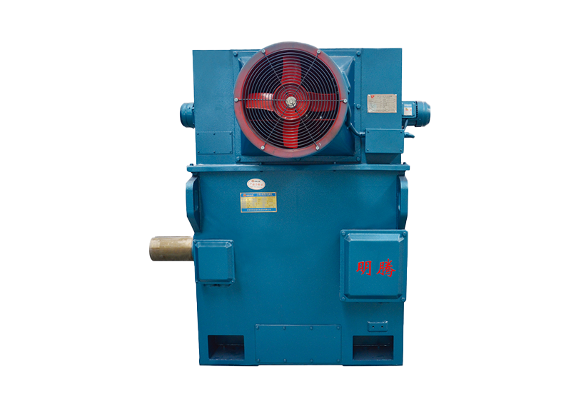 TYZD系列低压低速直驱三相永磁同步电动机（380V H355-800）
