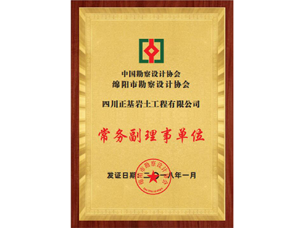 中國勘察設計協會、綿陽市勘察設計協會常務副理事單位