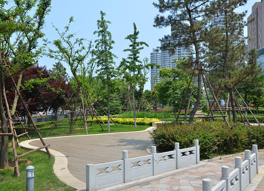 前海(hai)一(yi)線(xian)綠化改造項目東海(hai)路沿(yan)線(xian)綠(lv)化(hua)工程五(wu)標段