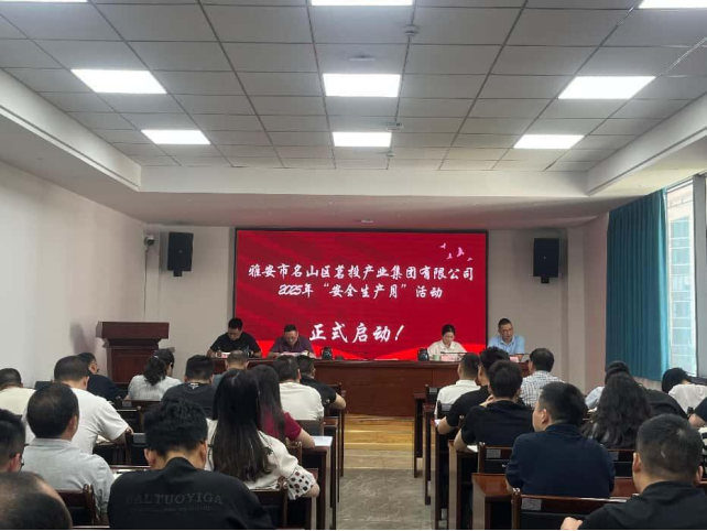 茗投產(chǎn)業(yè)集團(tuán)公司開(kāi)展2025年“安全生產(chǎn)月”活動(dòng)總結(jié)