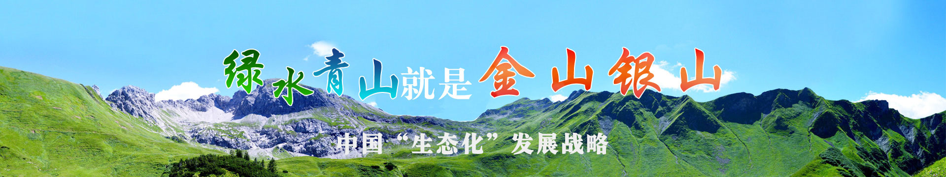 n01