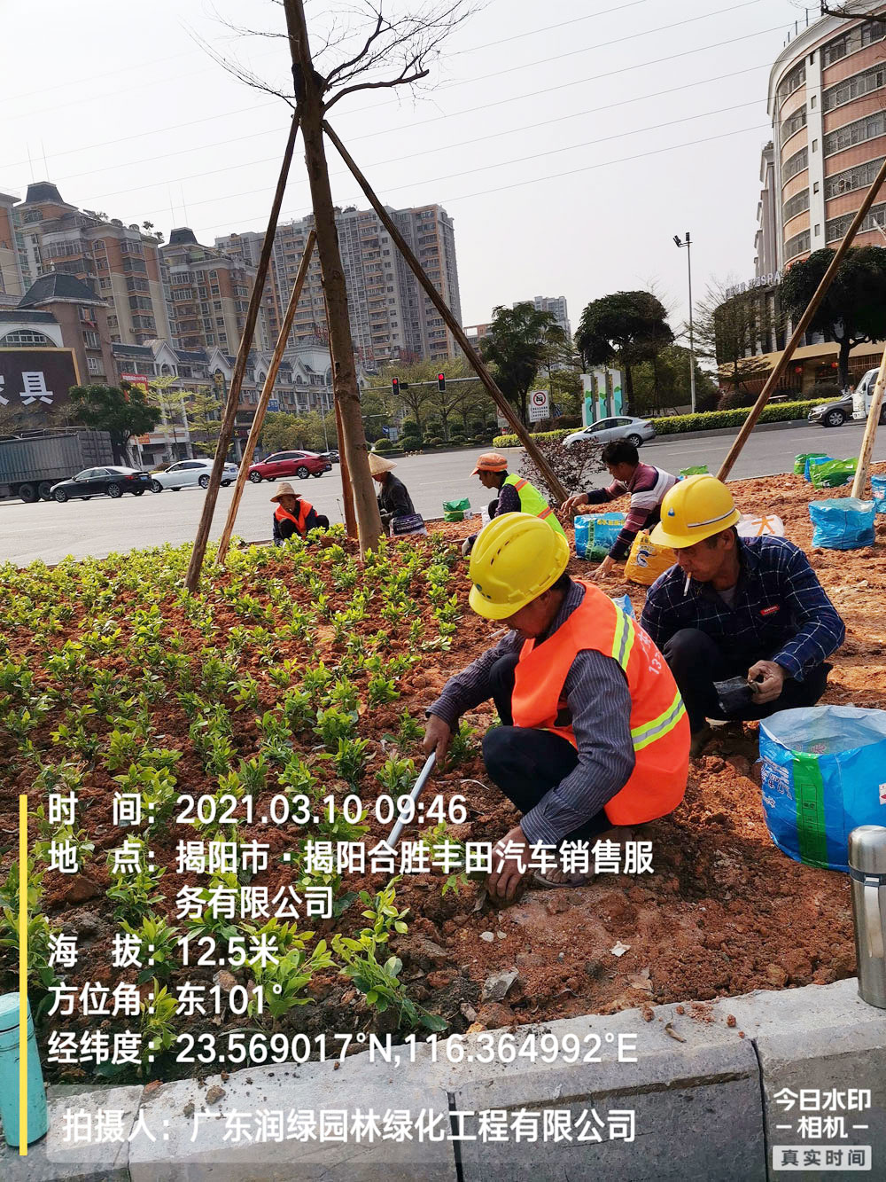 市政道路綠化施工