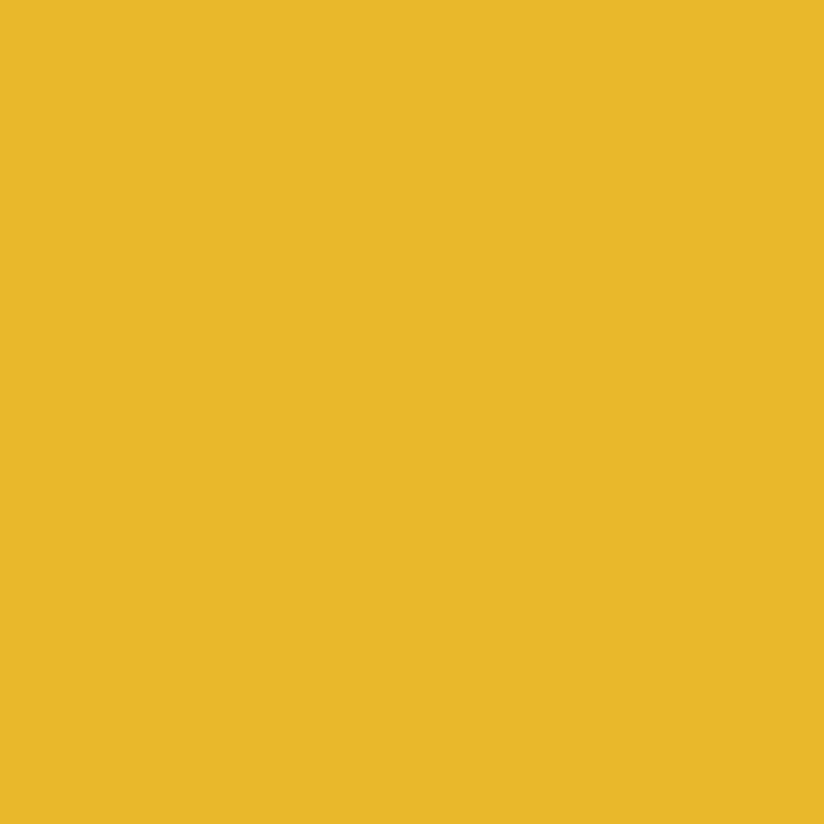 色浆黄 6306
