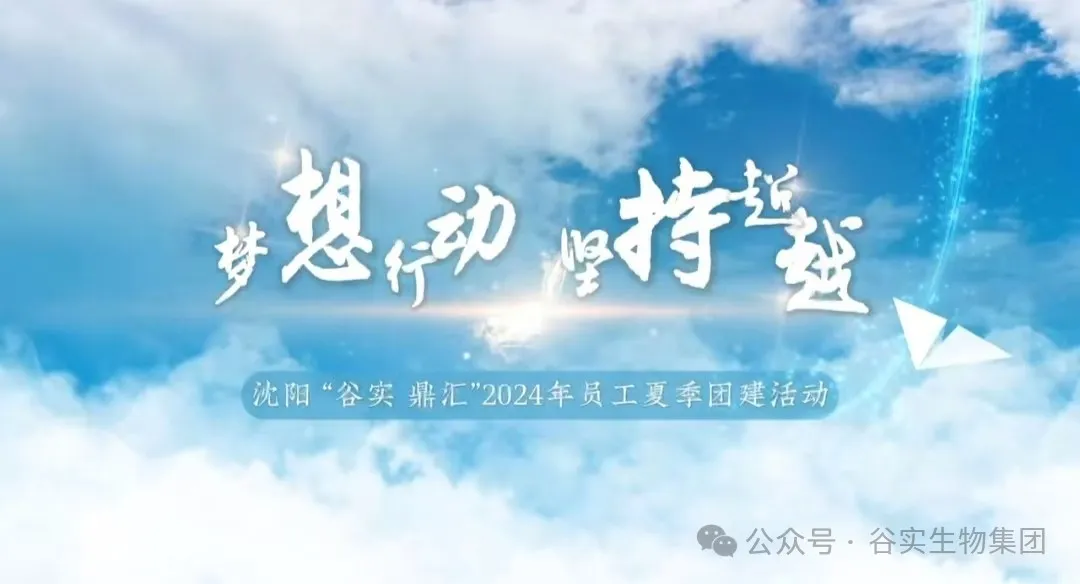 梦想 行动 坚持 超越 沈阳888贵宾会平台鼎汇2024年员工夏季团建活动