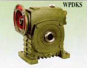 WPDKS蜗轮减速机