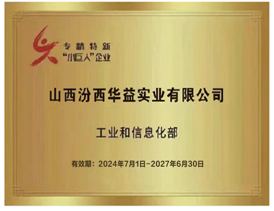 小巨人企業(yè)
