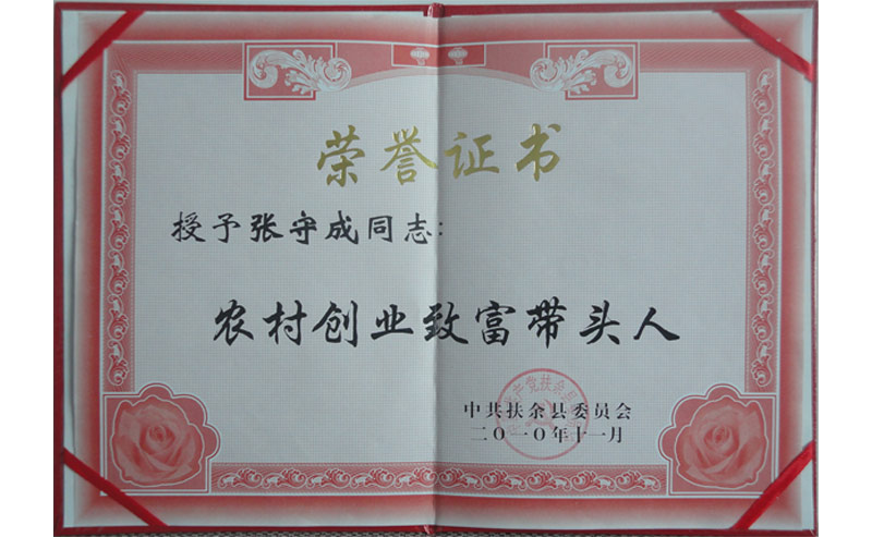榮譽資質