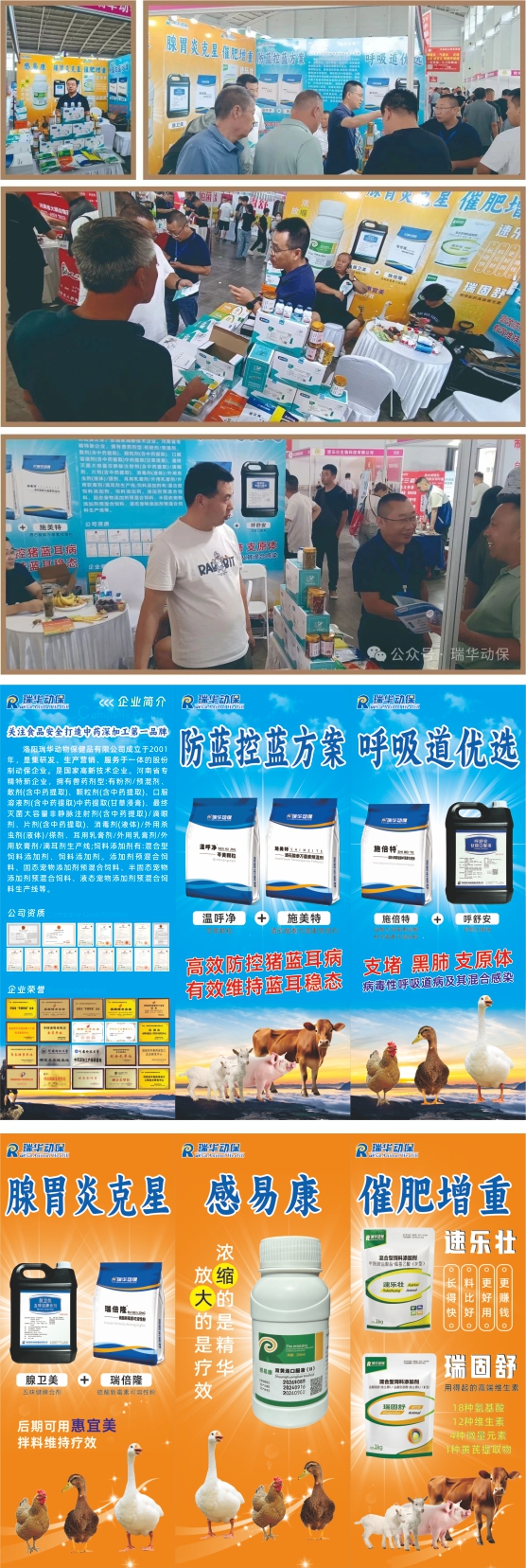 完美收官，征程再啟 | 2025東北四省區畜牧業博覽會圓滿結束!