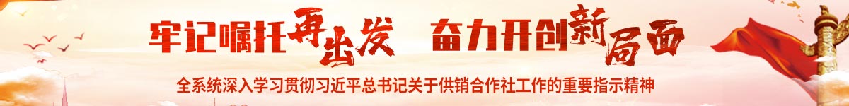 文明城市
