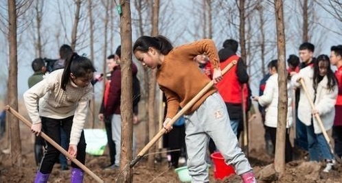 武漢市民在武金堤江灘植樹，為長江沿線添綠