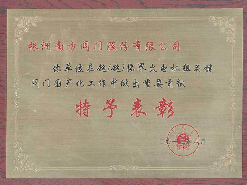 重要貢獻表彰