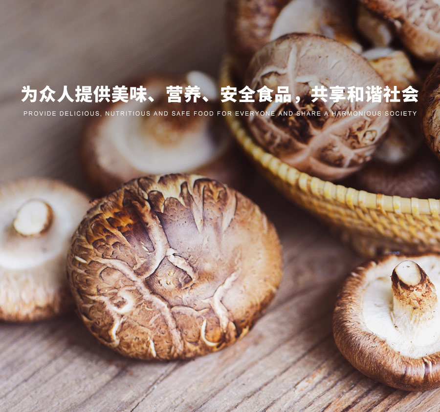 湖北山緣山珍食品有限公司
