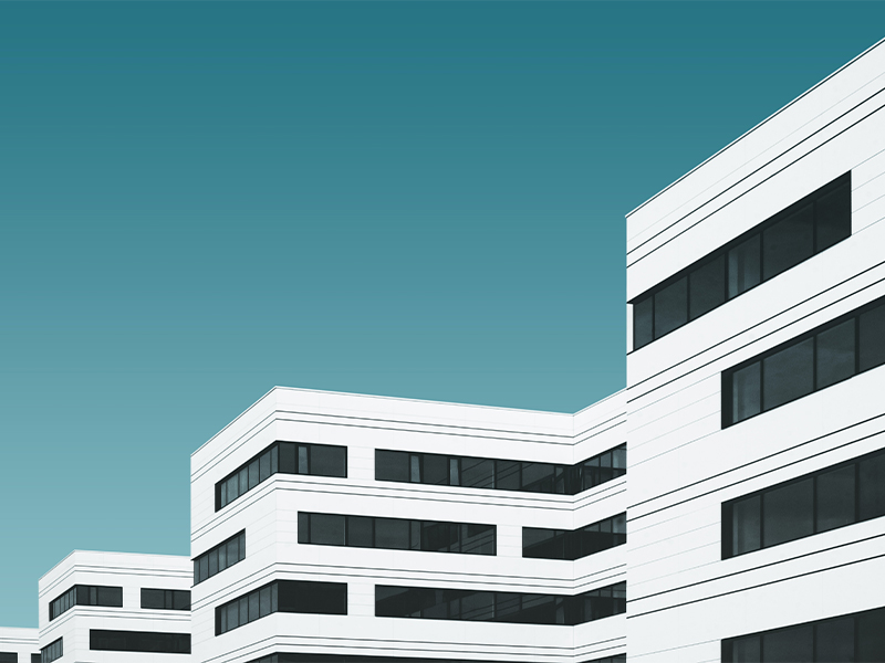 展示
