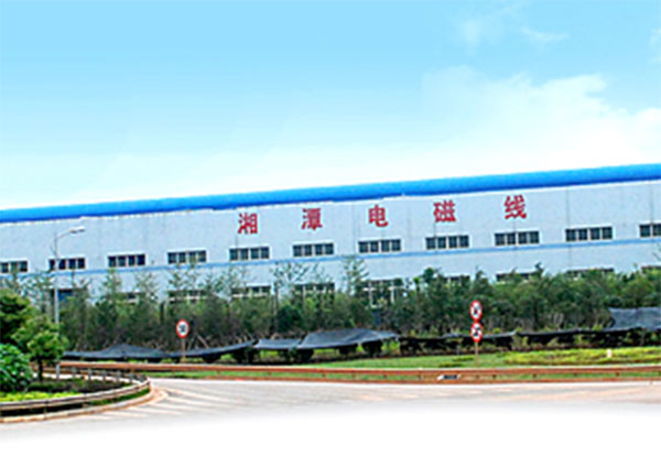 熱烈慶祝湘潭市電磁線廠有限公司新網站上線?。?！