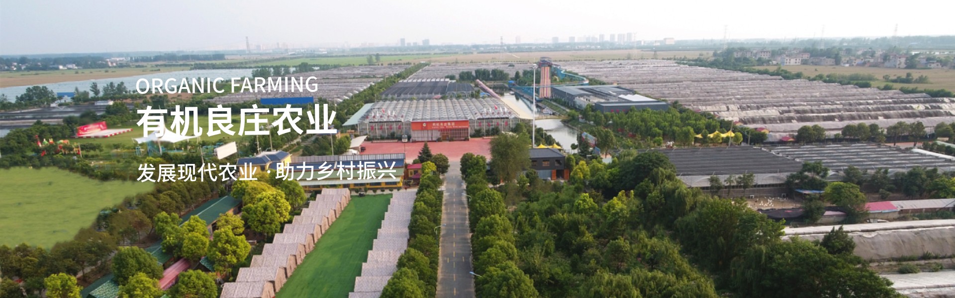 安徽有機(jī)良莊農(nóng)業(yè)科技股份有限公司 安徽有機(jī)良莊農(nóng)業(yè)科技股份有限公司