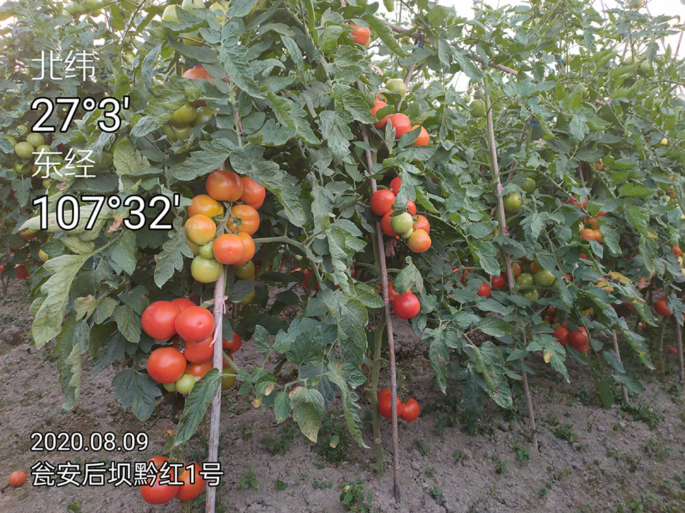微信圖片_20200925105114