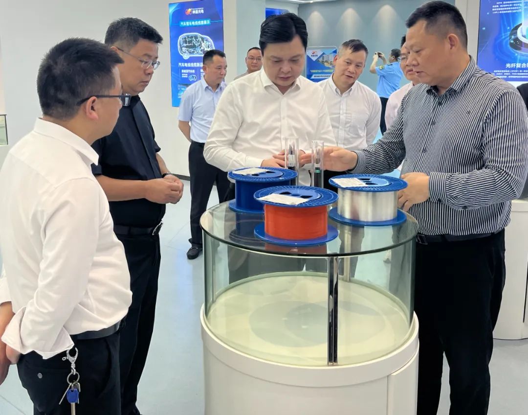 省市場監(jiān)管局黨組成員、副局長廖健蒞臨神通光電督導(dǎo)檢查